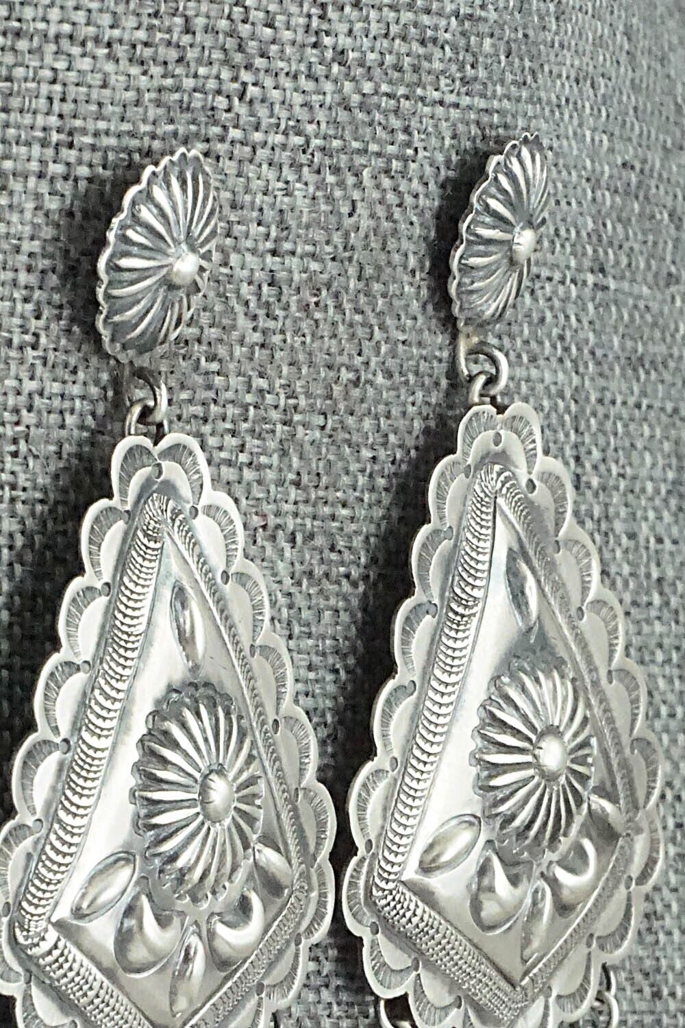 Sterling Silver Earrings - Terry Charlie