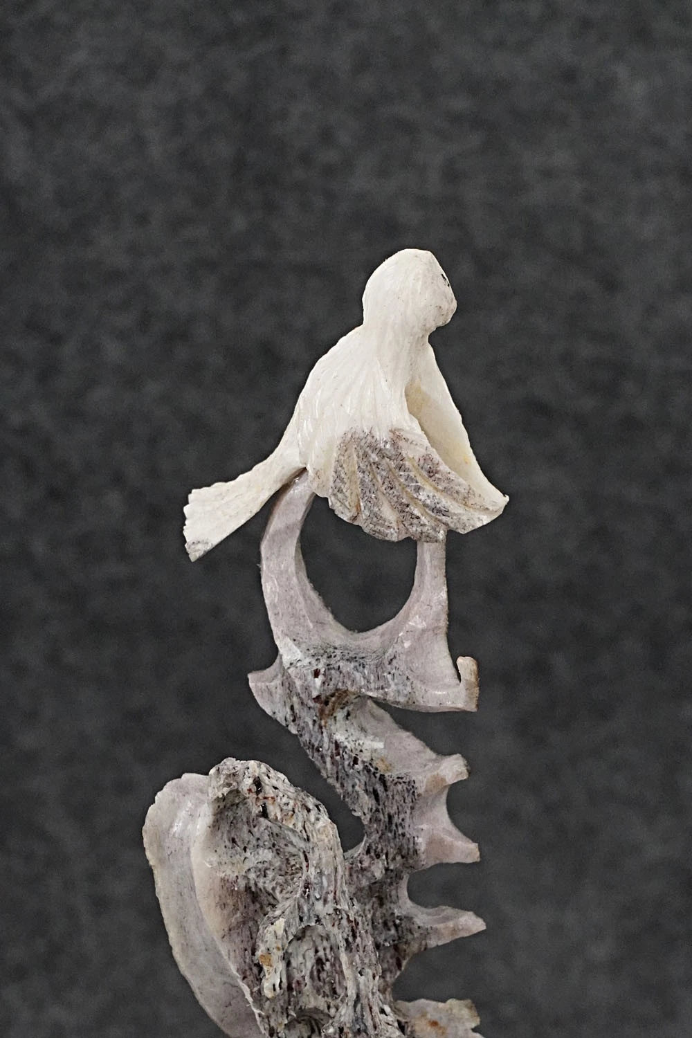 Owls Zuni Fetish Carving - Ruben Najara