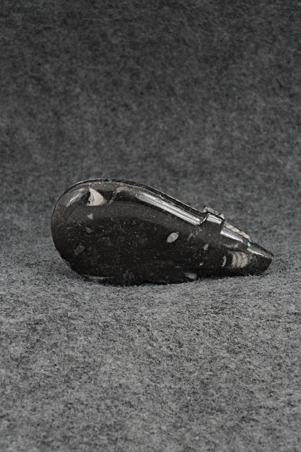 Bear Zuni Fetish Carving - Abby Quam Panteah