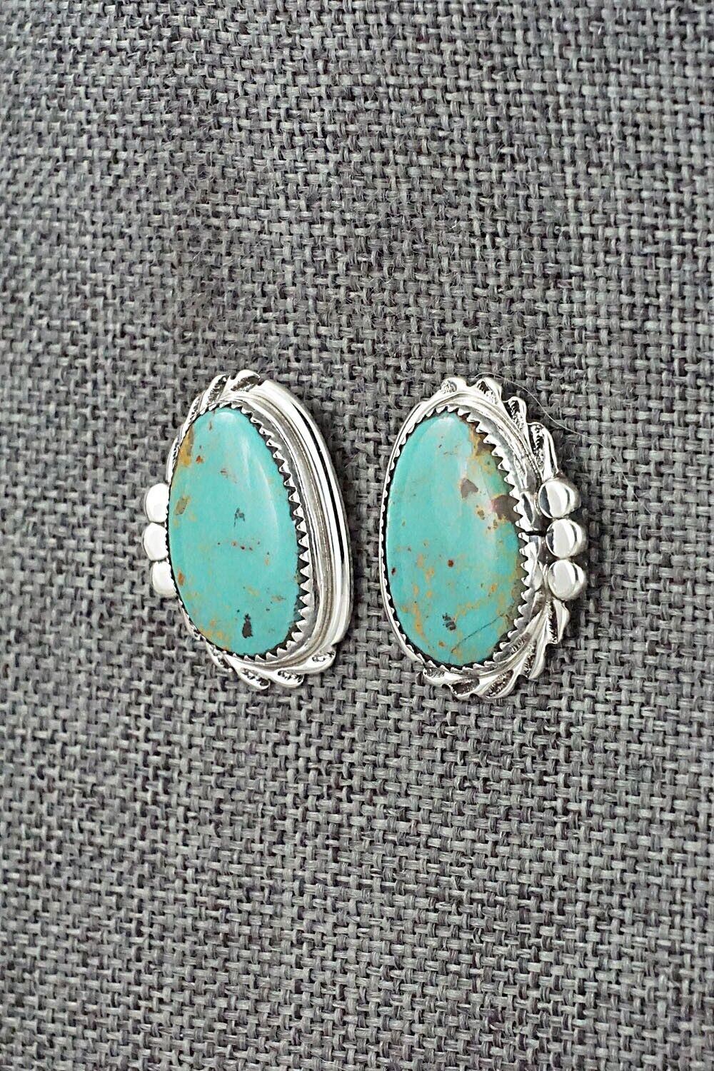 Turquoise and Sterling Silver Earrings - Delores Cadman