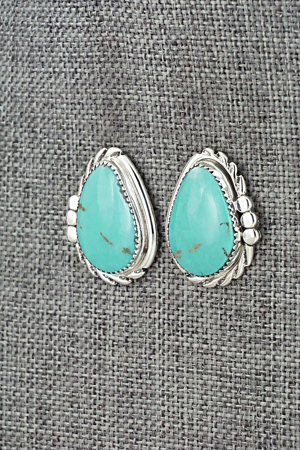 Turquoise and Sterling Silver Earrings - Delores Cadman