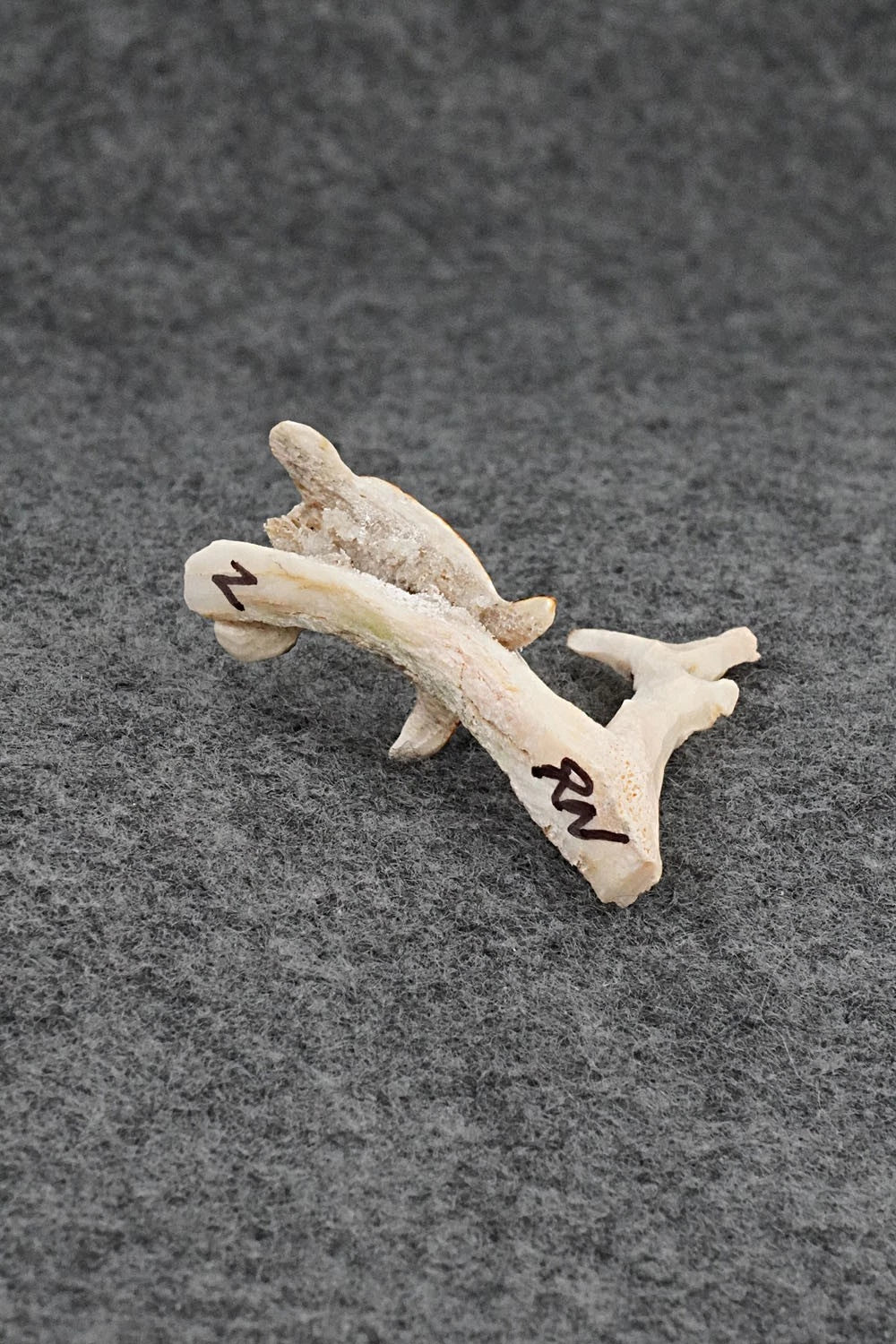 Turtle Zuni Fetish Carving - Ruben Najera