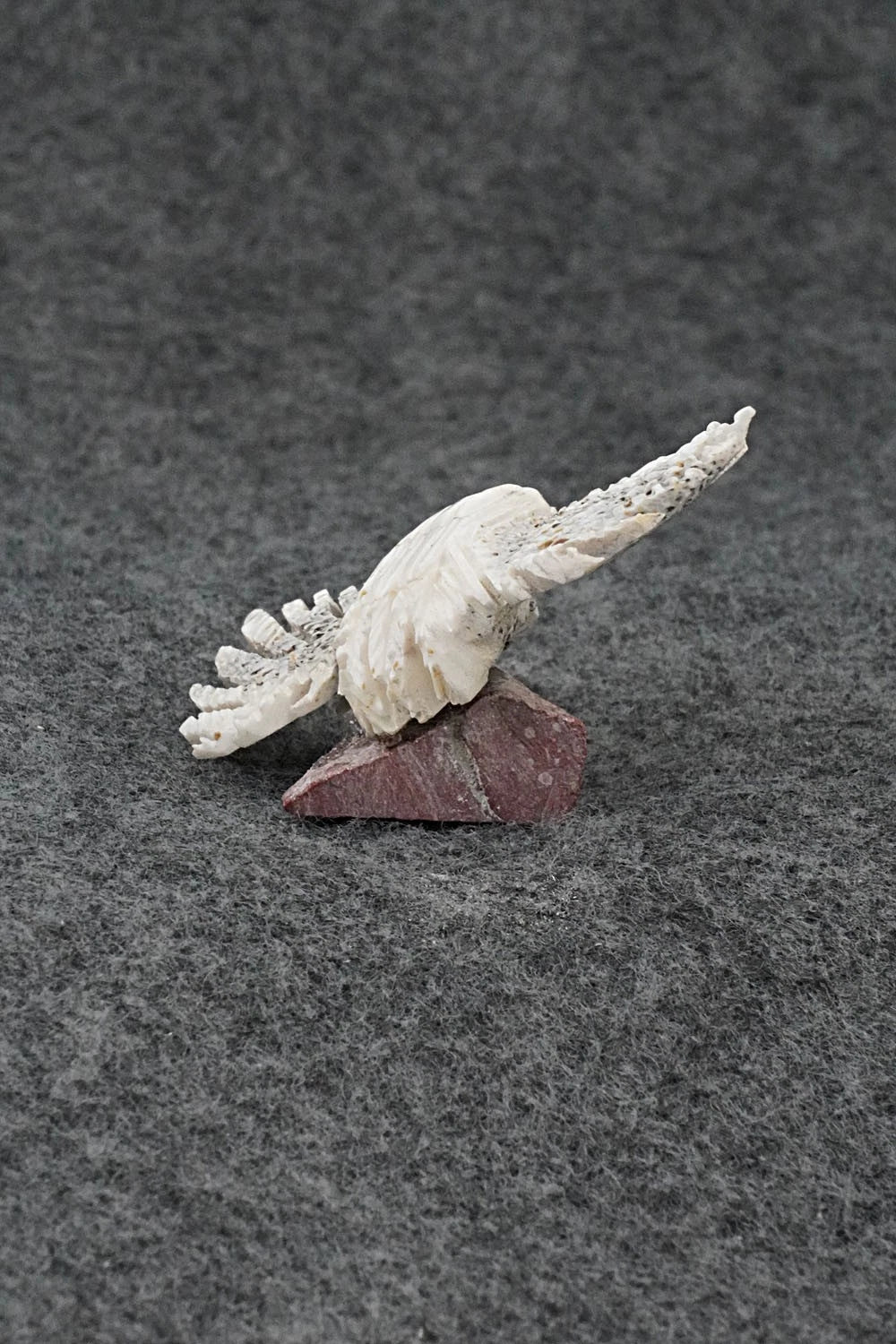 Eagle Zuni Fetish Carving - Carl Etsate