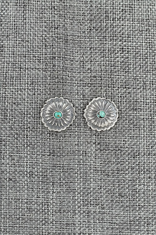 Turquoise & Sterling Silver Earrings - Terry Charlie