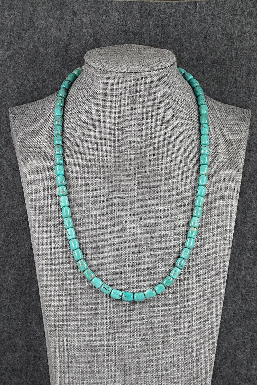 Turquoise & Sterling Silver Necklace 18" - Doreen Jake