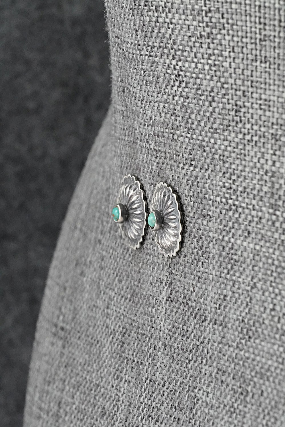 Turquoise & Sterling Silver Earrings - Terry Charlie