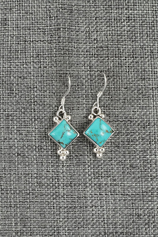 Turquoise & Sterling Silver Earrings - Sharon McCarthy