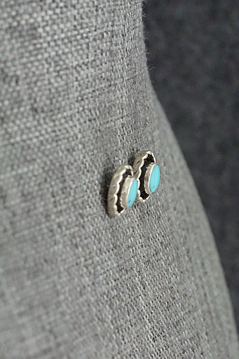 Turquoise & Sterling Silver Earrings - Carina Leekity