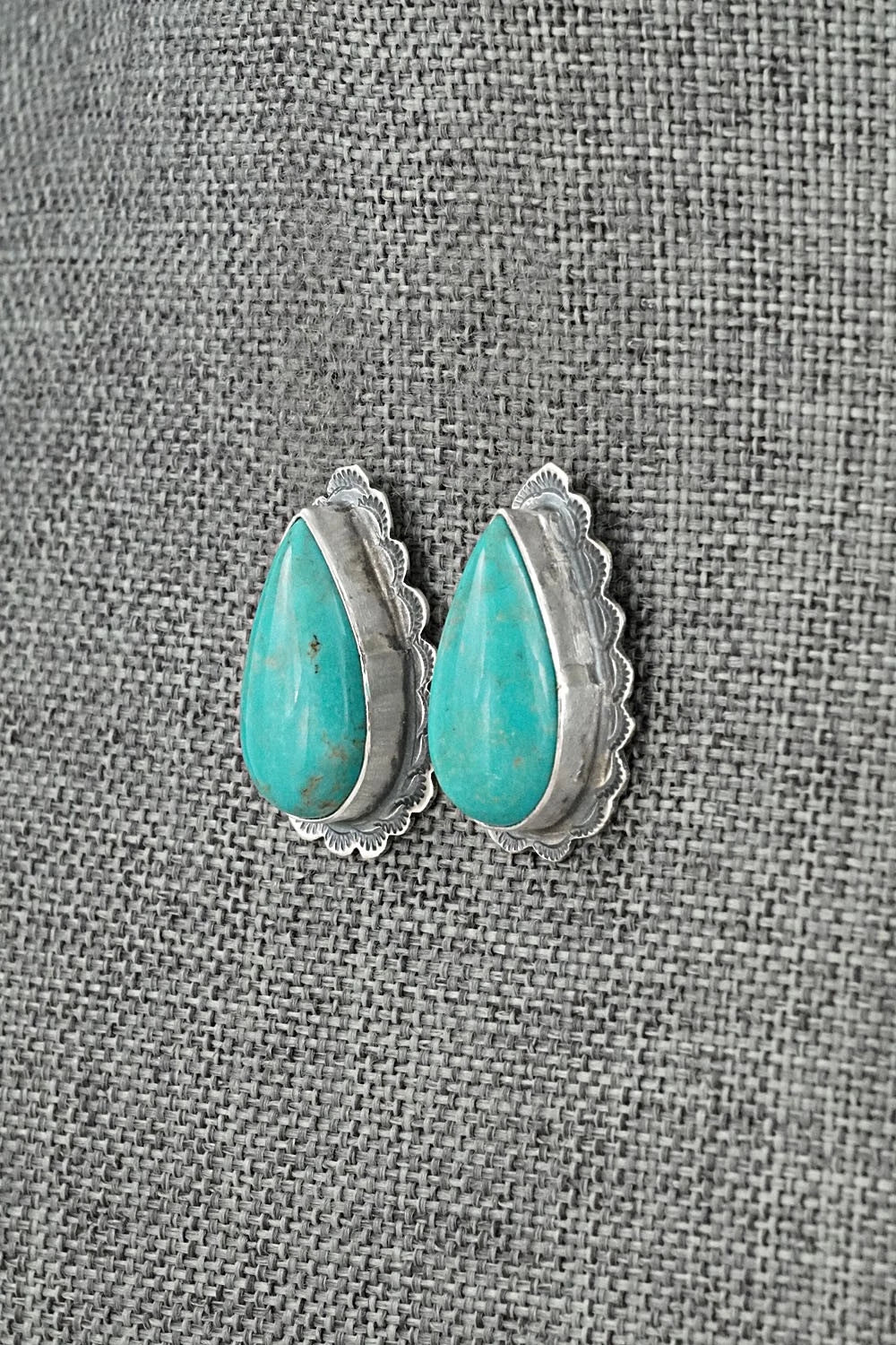 Turquoise & Sterling Silver Earrings - Carlos Francisco