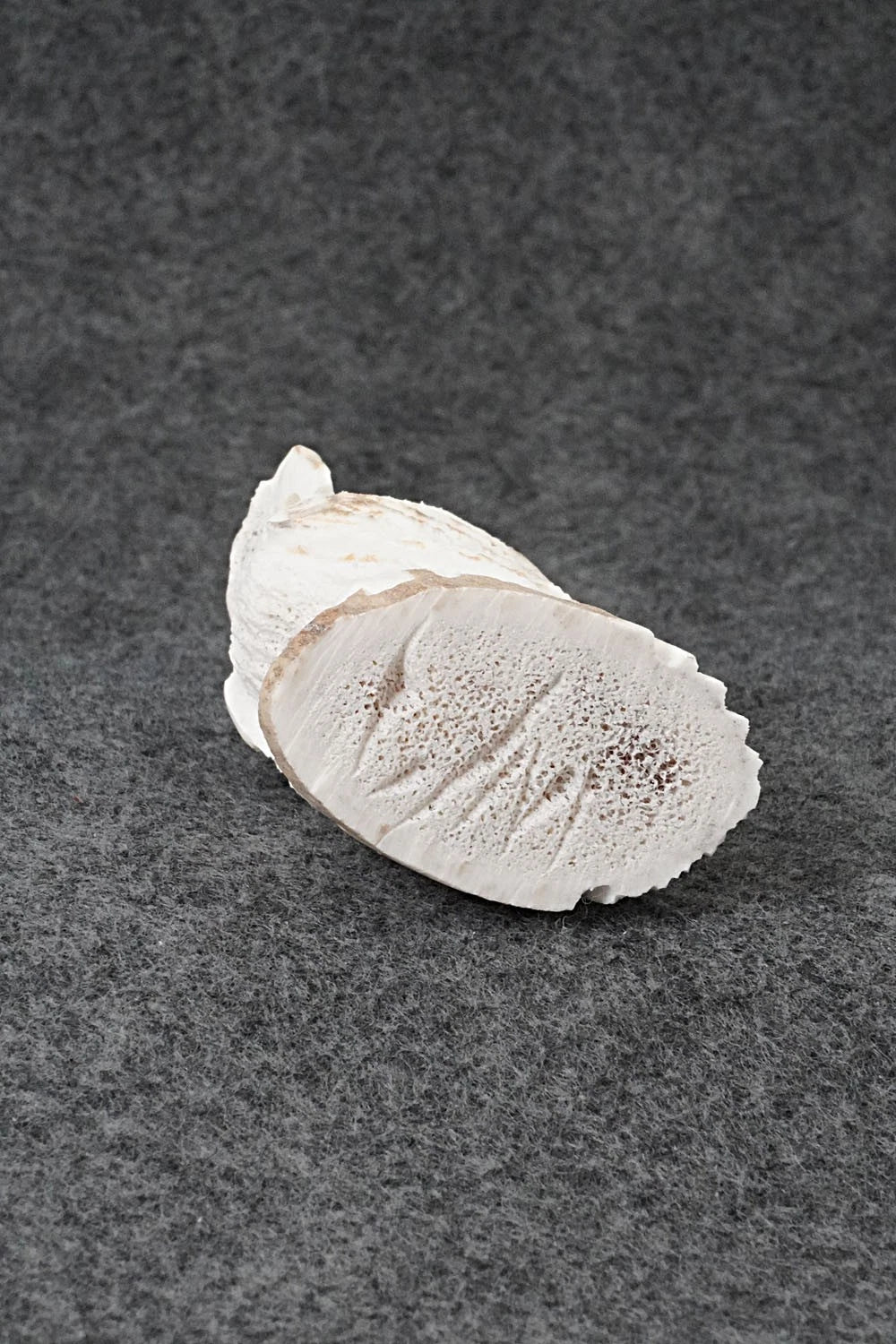 Eagle Zuni Fetish Carving - Lewis Malie