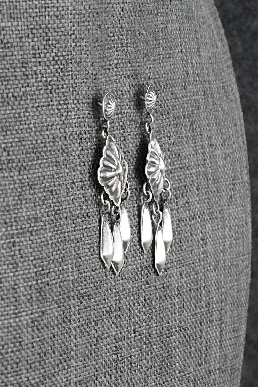 Sterling Silver Earrings - Terry Charlie