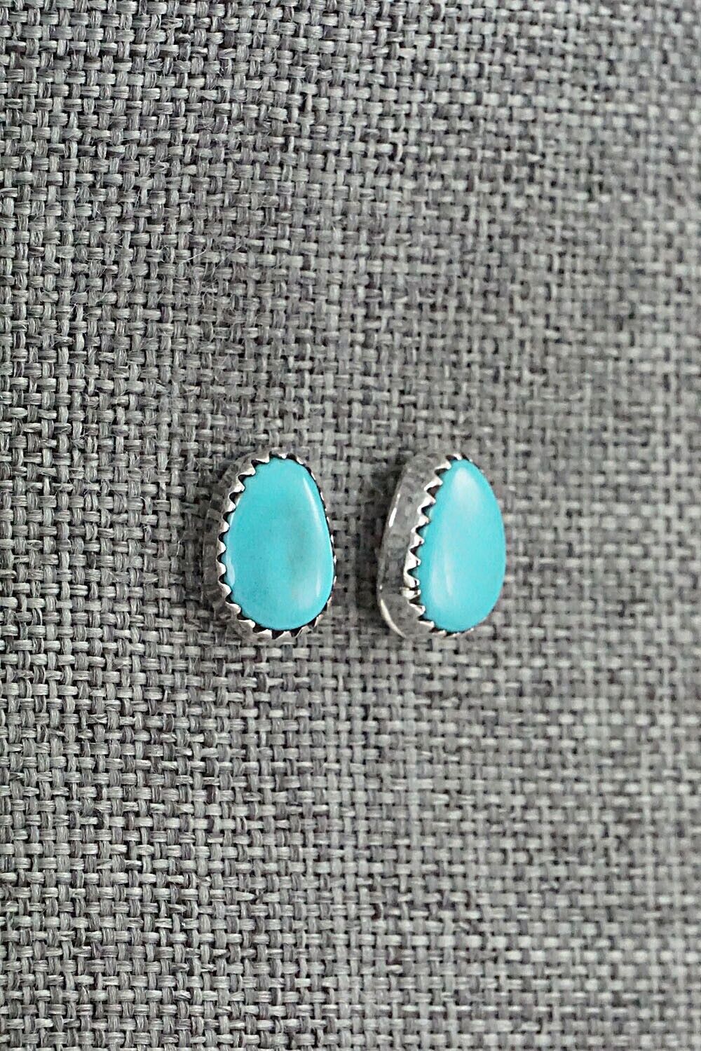 Turquoise & Sterling Silver Earrings - Theresa Smith