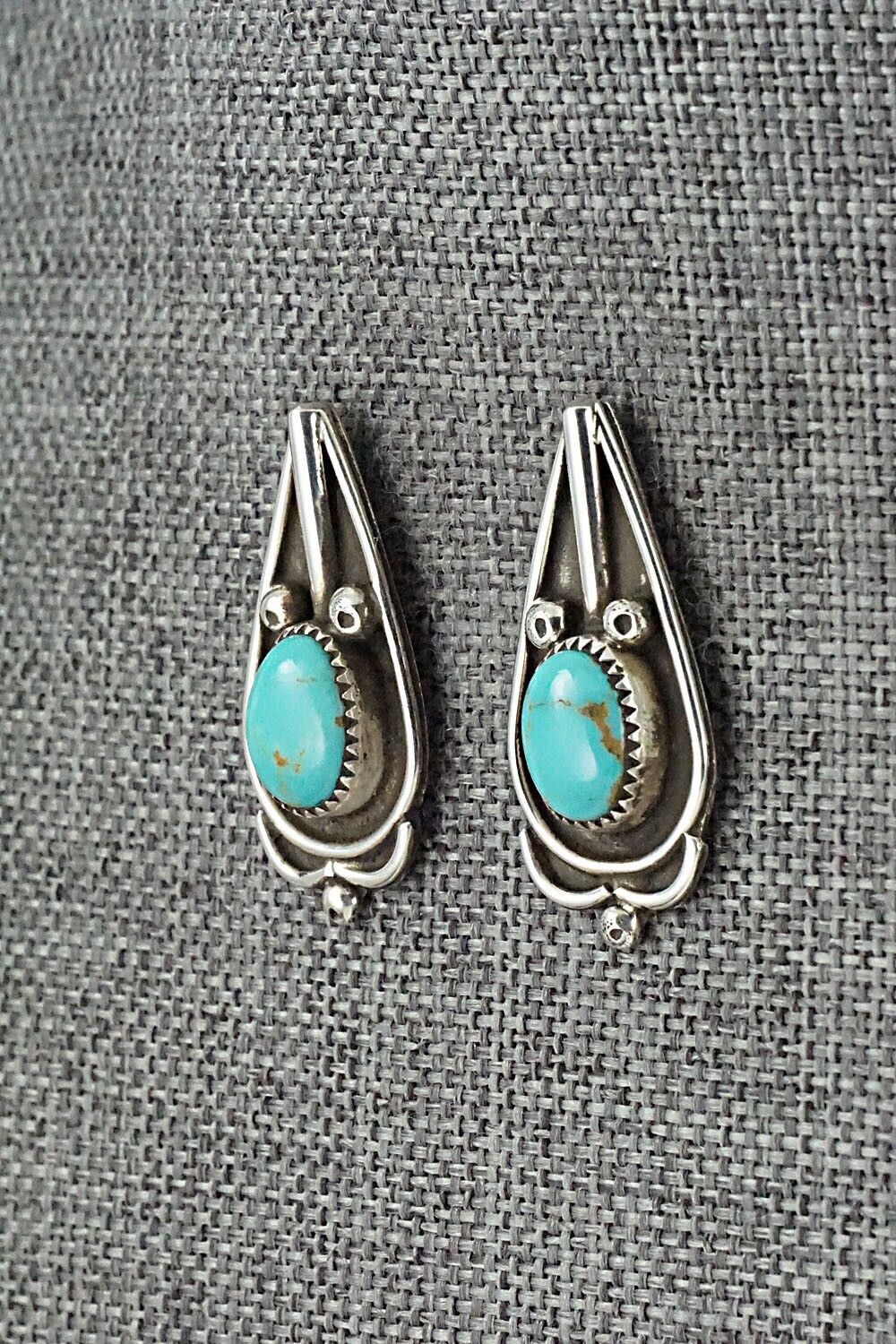 Turquoise and Sterling Silver Earrings - Priscilla Reeder