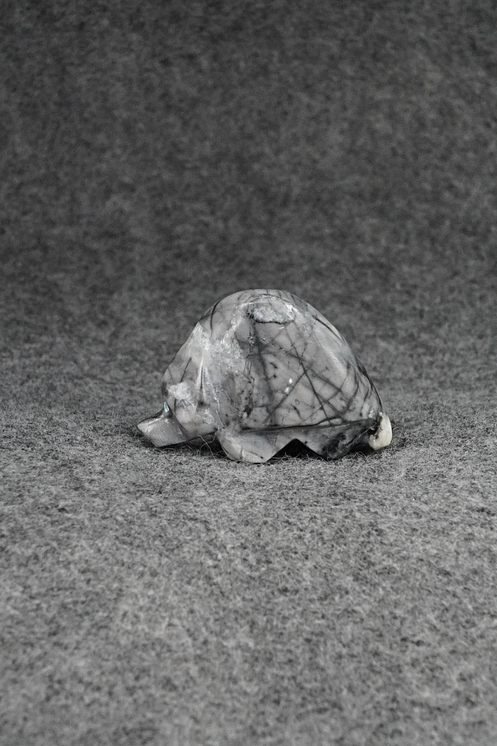 Bear Zuni Fetish Carving - Benina Kallestewa