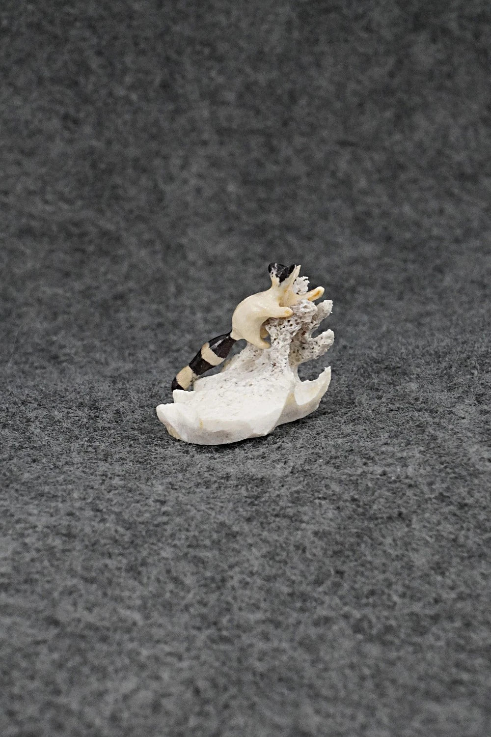 Raccoon Zuni Fetish Carving - Ruben Najera
