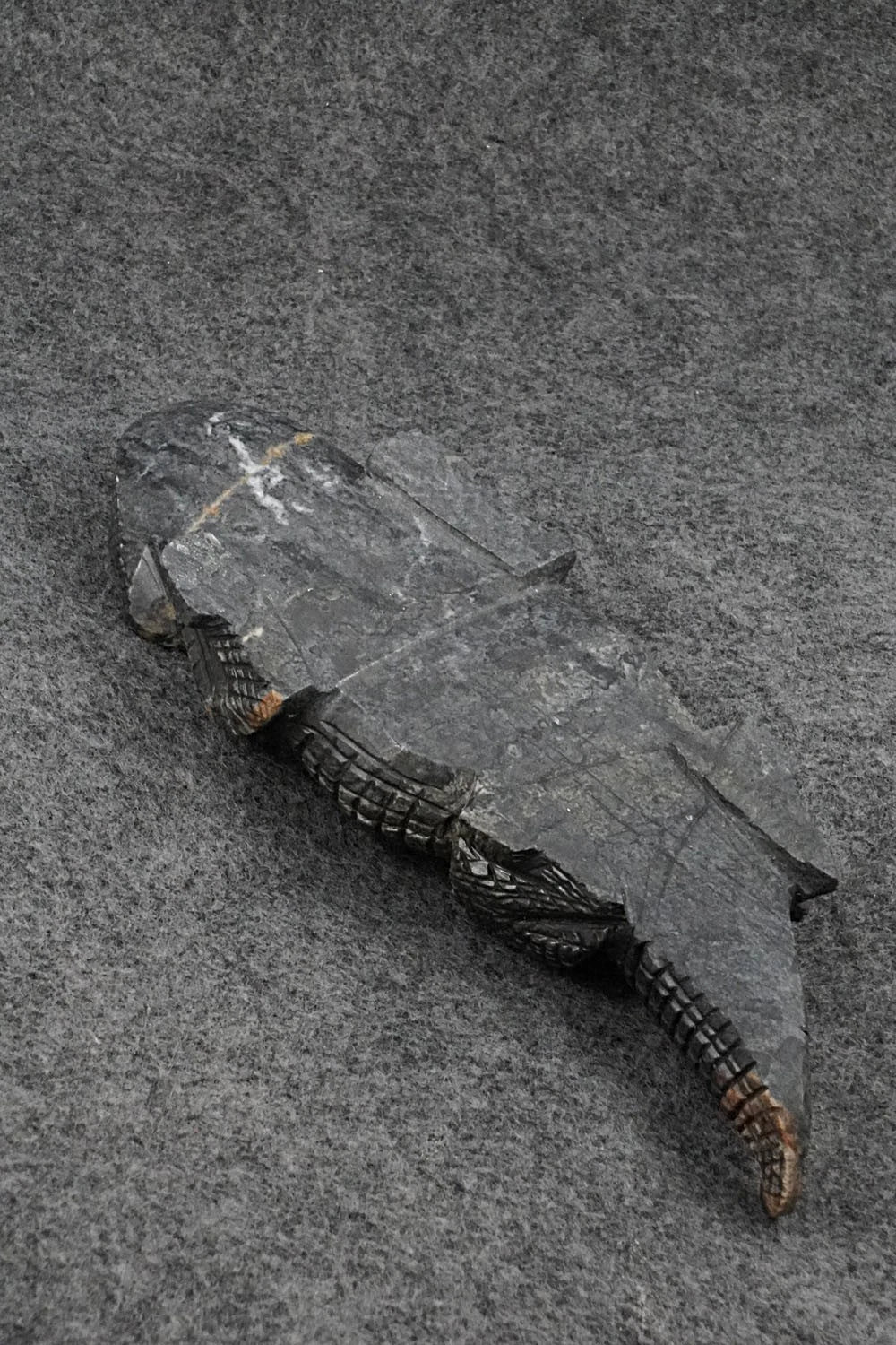 Horned Toad Zuni Fetish Carving - Tony Mackel
