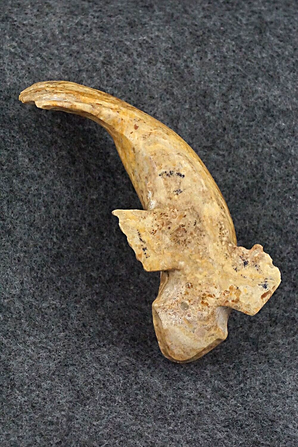 Fish Zuni Fetish Carving - Glendon Lasiloo