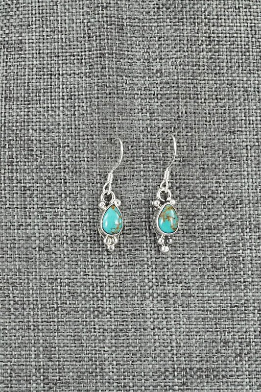 Turquoise and Sterling Silver Earrings - Sharon McCarthy