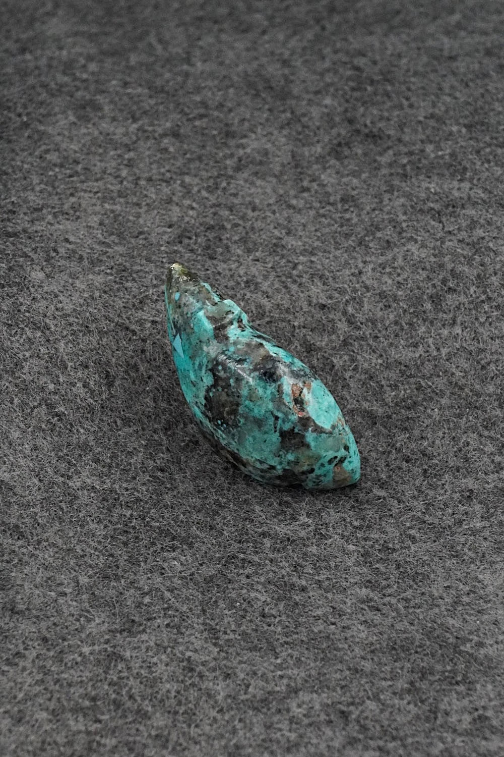 Bear Zuni Fetish Carving - Abby Quam Panteah