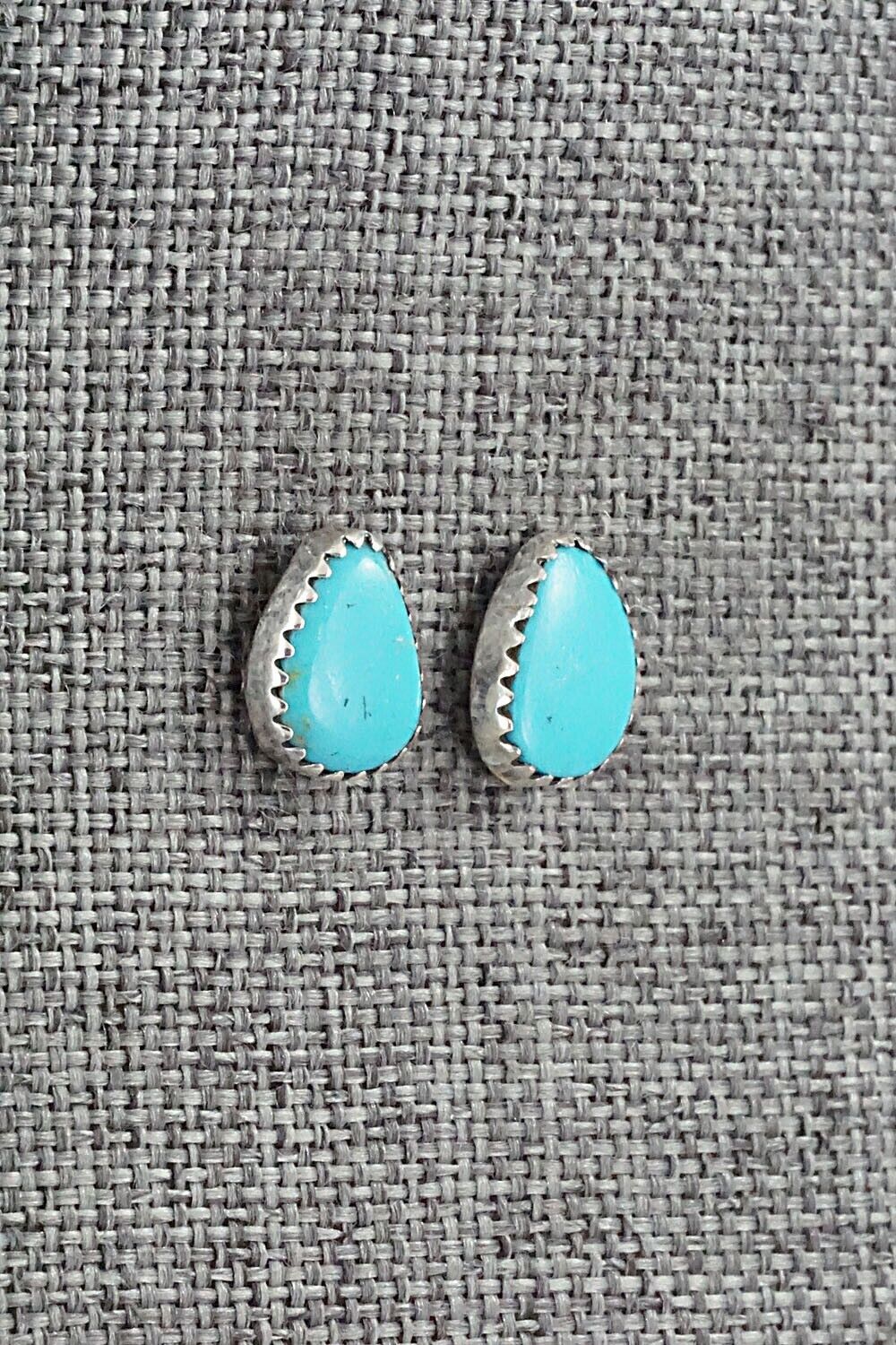 Turquoise & Sterling Silver Earrings - Annie Spencer