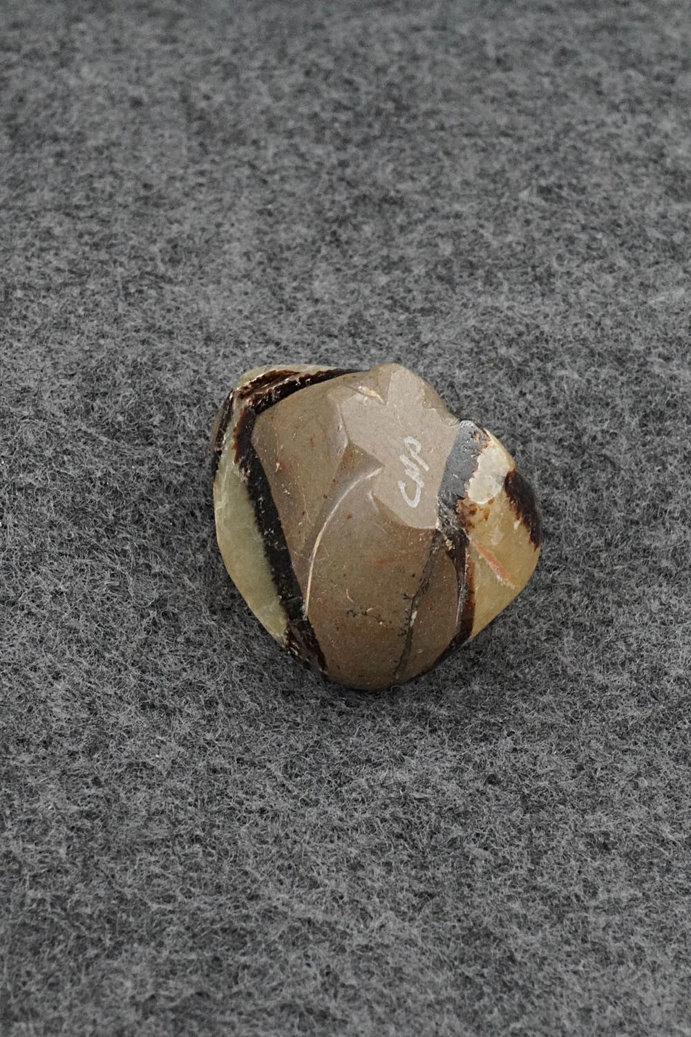 Frog Zuni Fetish Carving - Abby Panteah Quam