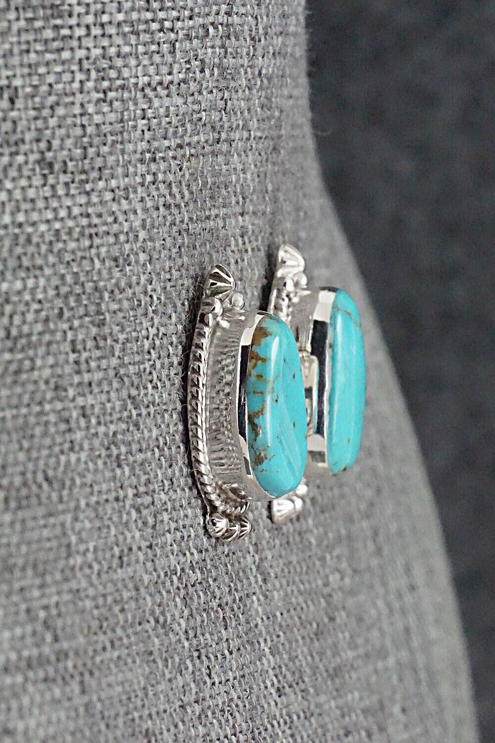 Turquoise and Sterling Silver Earrings - Sharon McCarthy