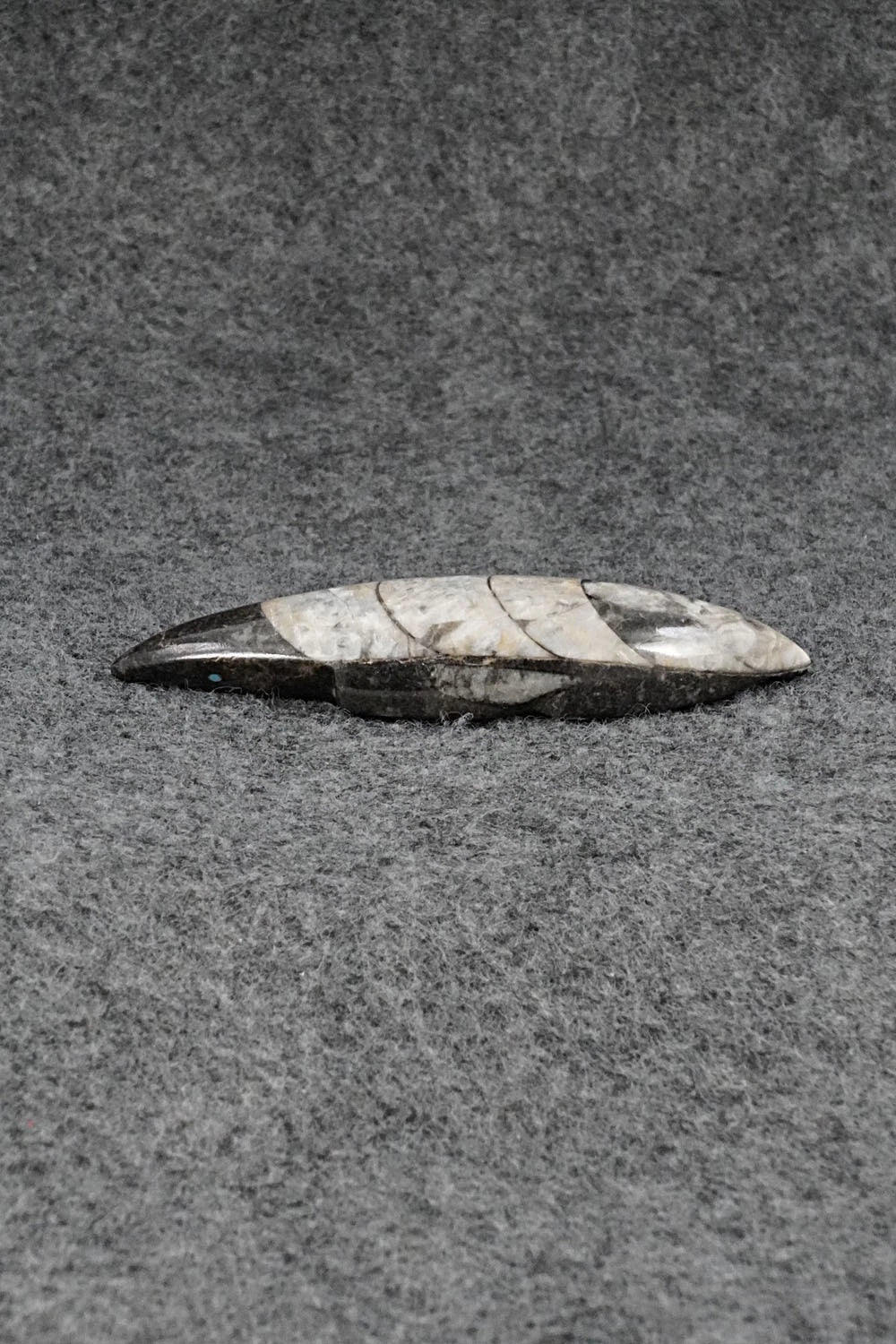 Mole Zuni Fetish Carving - Abby Quam Panteah