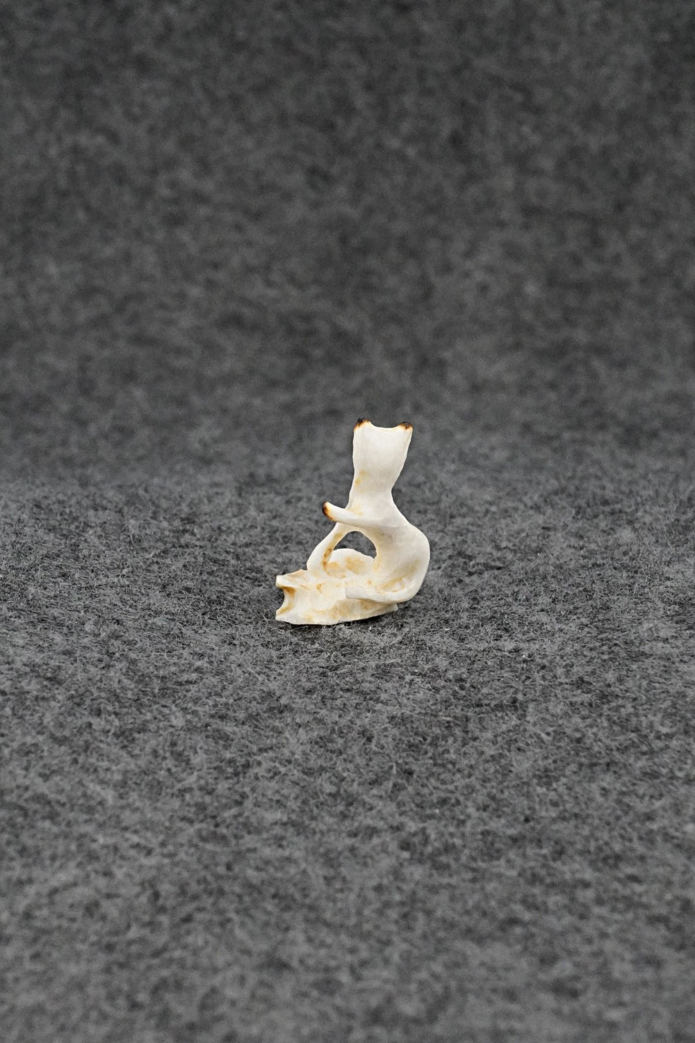 Cat Zuni Fetish Carving - Ruben Najera