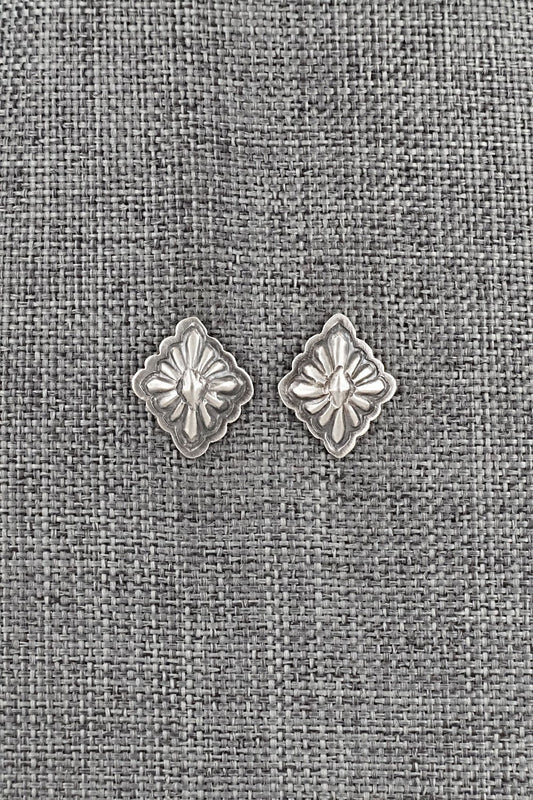Sterling Silver Earrings - Terry Charlie