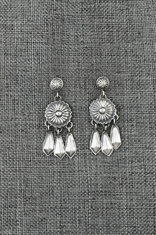 Sterling Silver Earrings - Terry Charlie