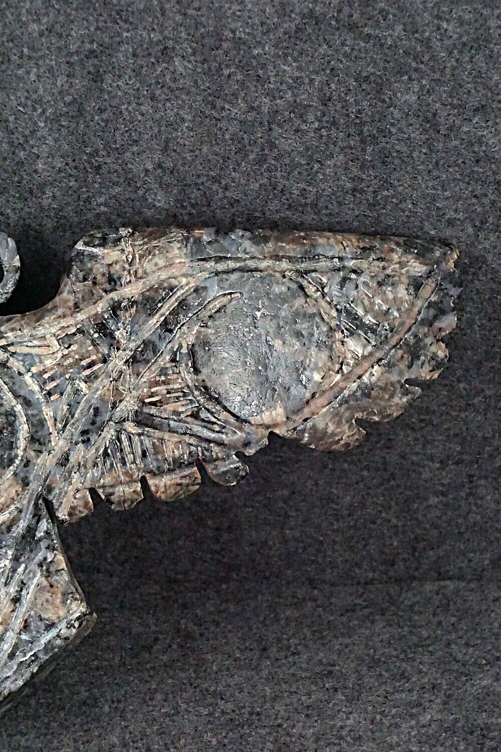 Large Eagle Zuni Fetish Carving - Jerrold Lahaleon