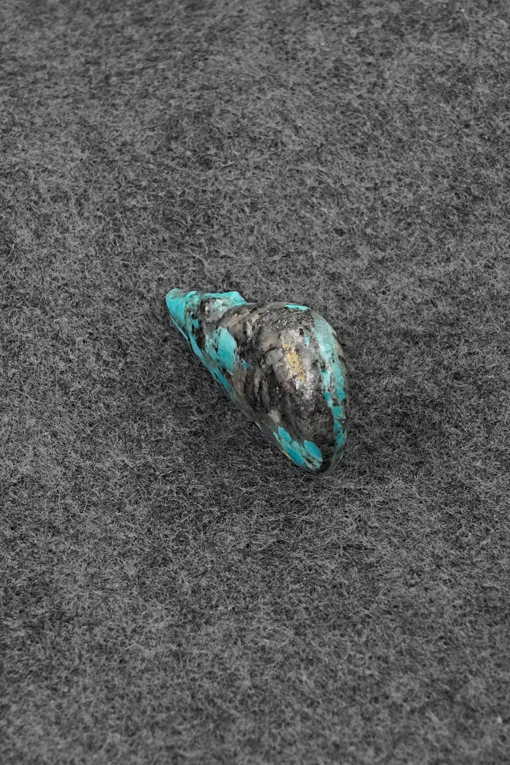 Bear Zuni Fetish Carving - Abby Panteah Quam