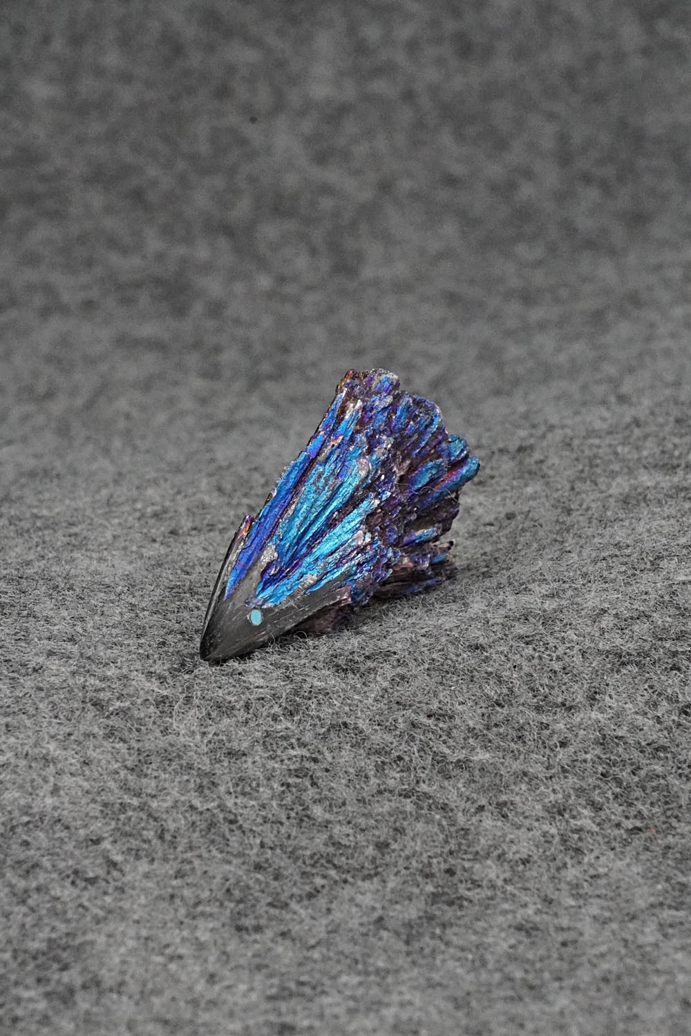 Porcupine Zuni Fetish Carving - Abby Panteah Quam