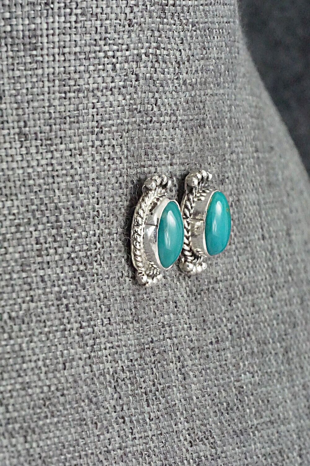 Turquoise & Sterling Silver Earrings - Jan Mariano