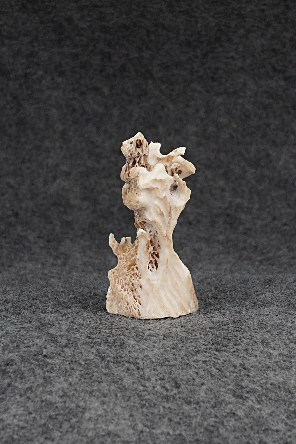 Bear Zuni Fetish Carving - Ruben Najera