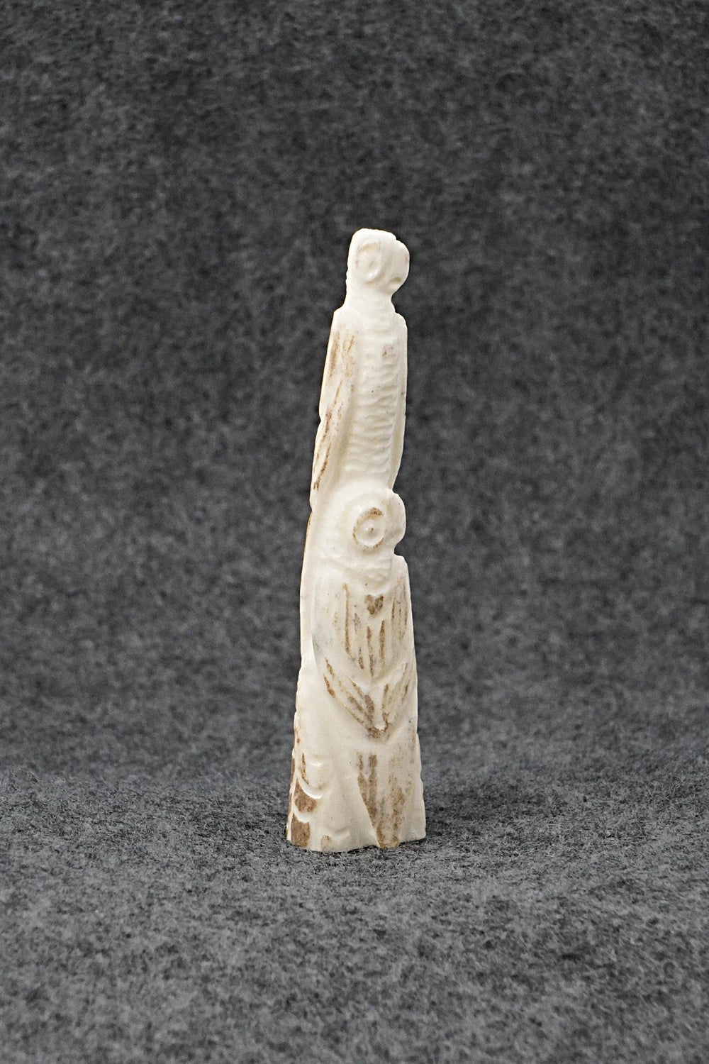 Parrot Zuni Fetish Carving - Maxx Laate