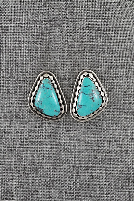 Turquoise & Sterling Silver Earrings - Sharon McCarthy