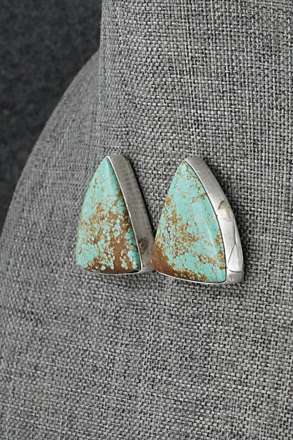 Turquoise & Sterling Silver Necklace and Earrings Set - Darrin Livingston
