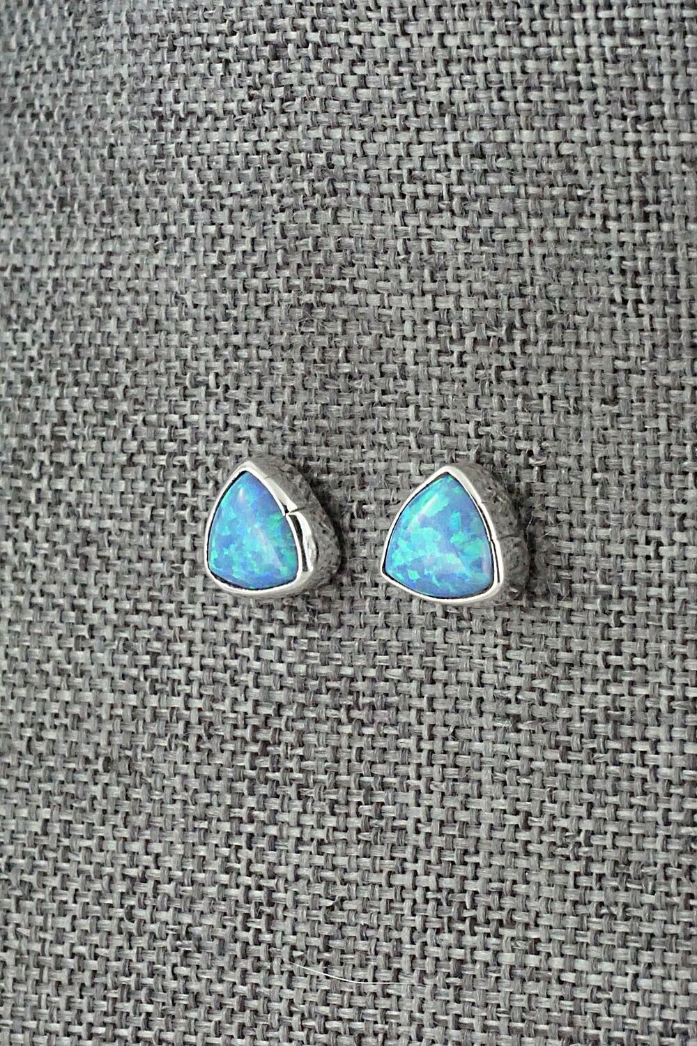Opalite & Sterling Silver Earrings - Emery Spencer