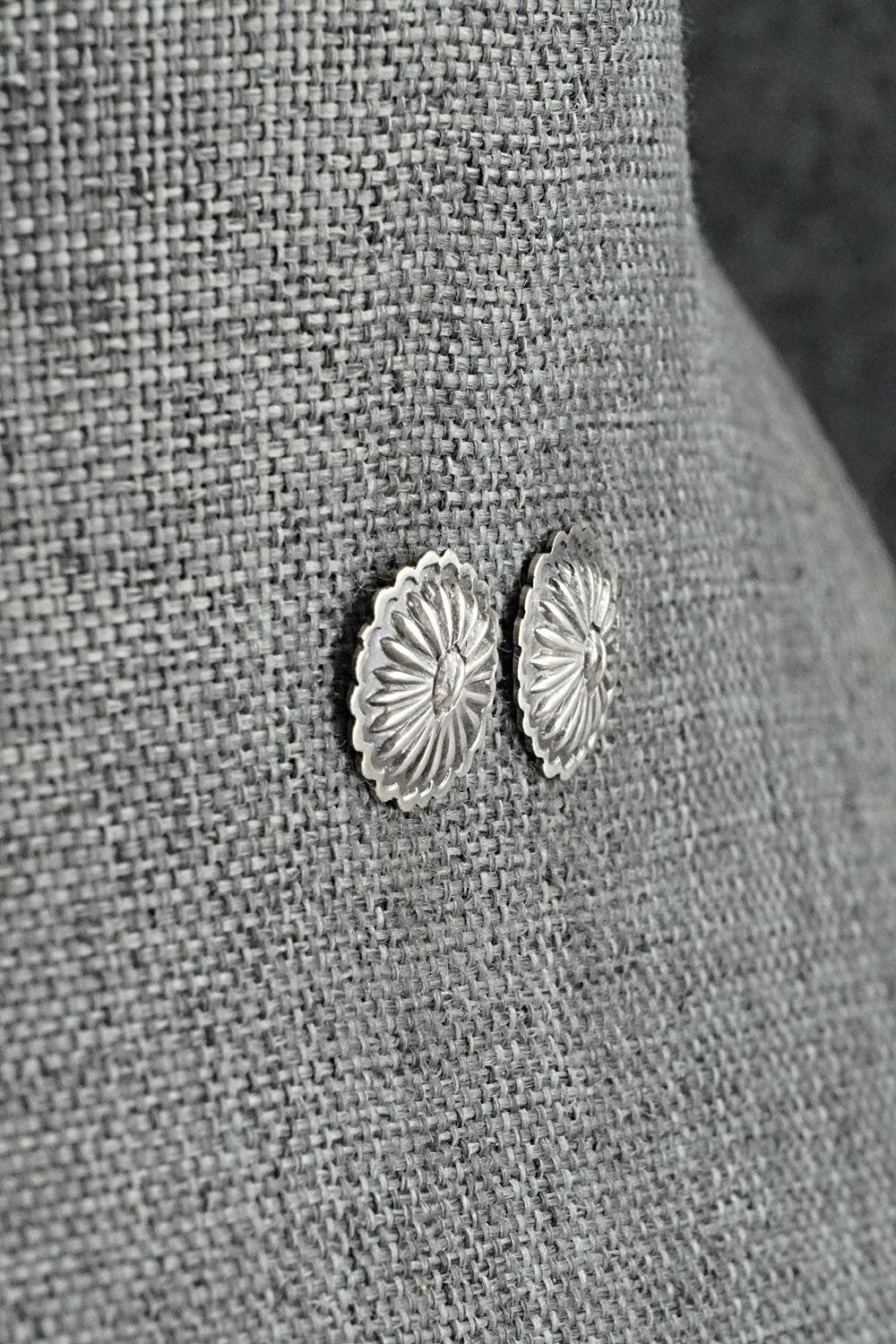 Sterling Silver Earrings - Terry Charlie