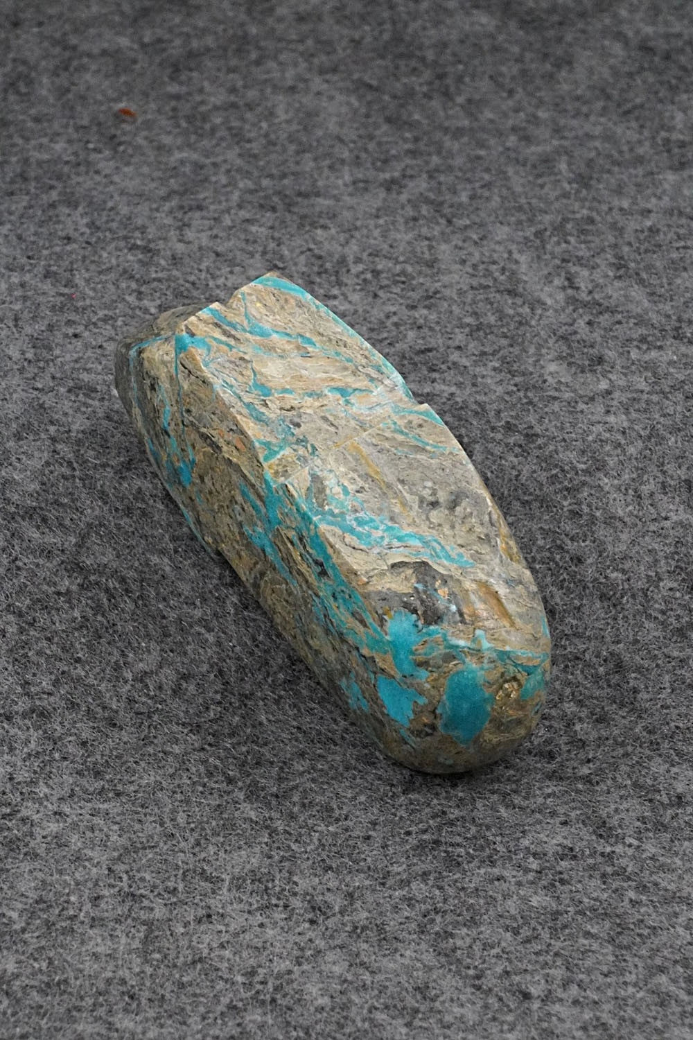 Bear Zuni Fetish Carving - Abby Quam Panteah