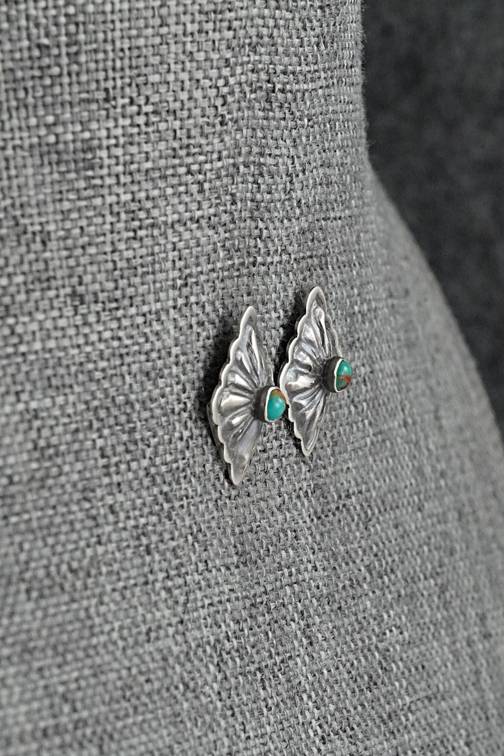 Turquoise & Sterling Silver Earrings - Terry Charlie