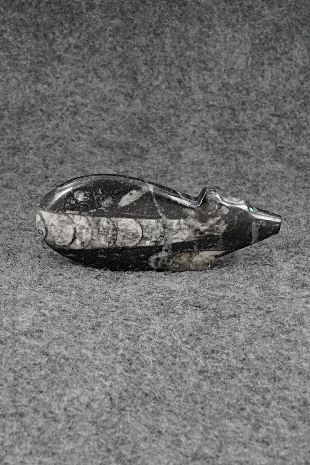 Bear Zuni Fetish Carving - Abby Quam Panteah
