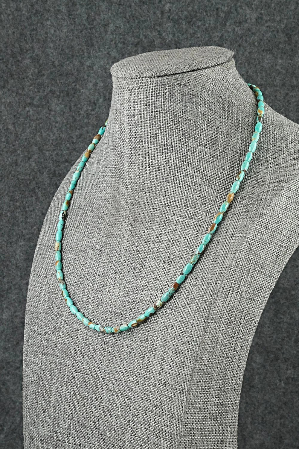 Turquoise & Sterling Silver Necklace 17" - Doreen Jake