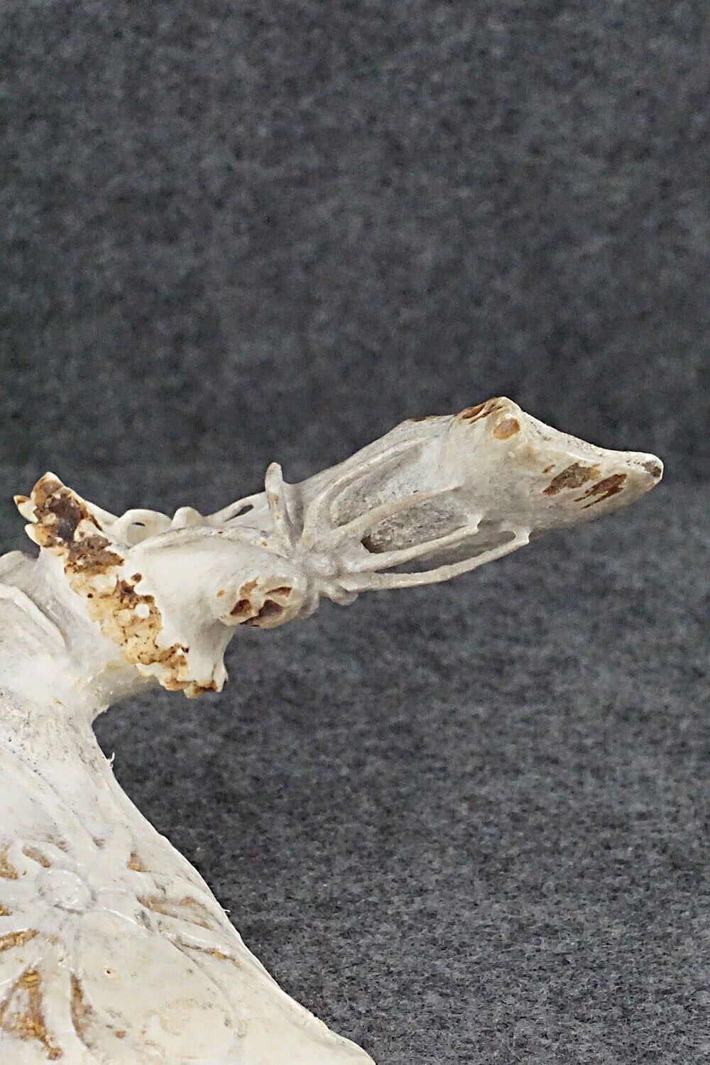 Spiders Zuni Fetish Carving - Maxx Laate