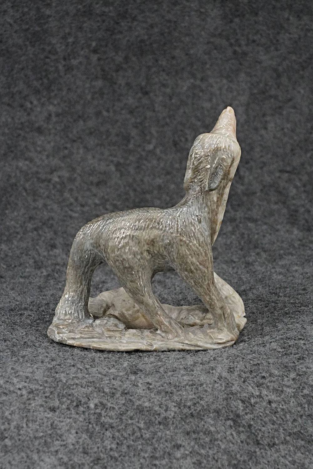 Wolf Zuni Fetish Carving - Calvin Weeka