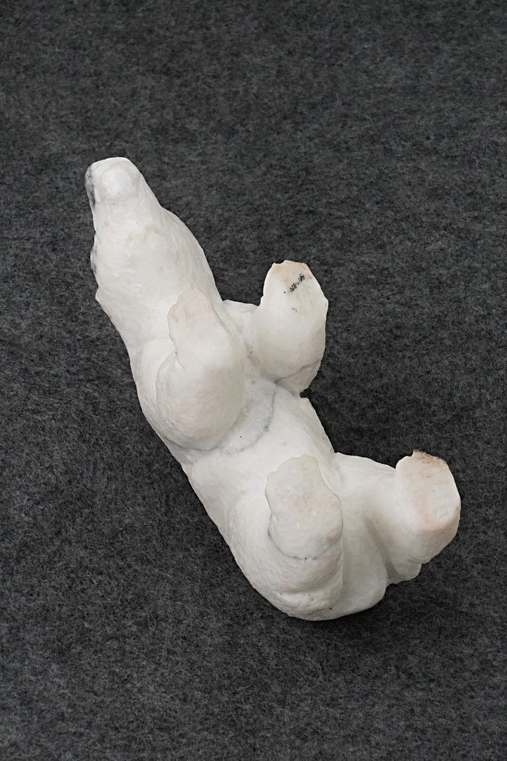 Bear Zuni Fetish Carving - Herbert Him