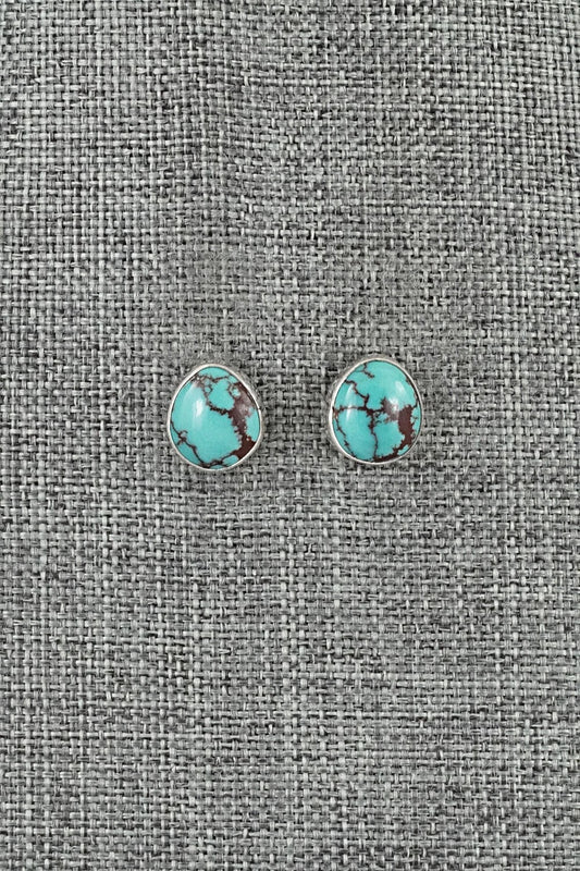Turquoise & Sterling Silver Earrings - Eugene Gruber