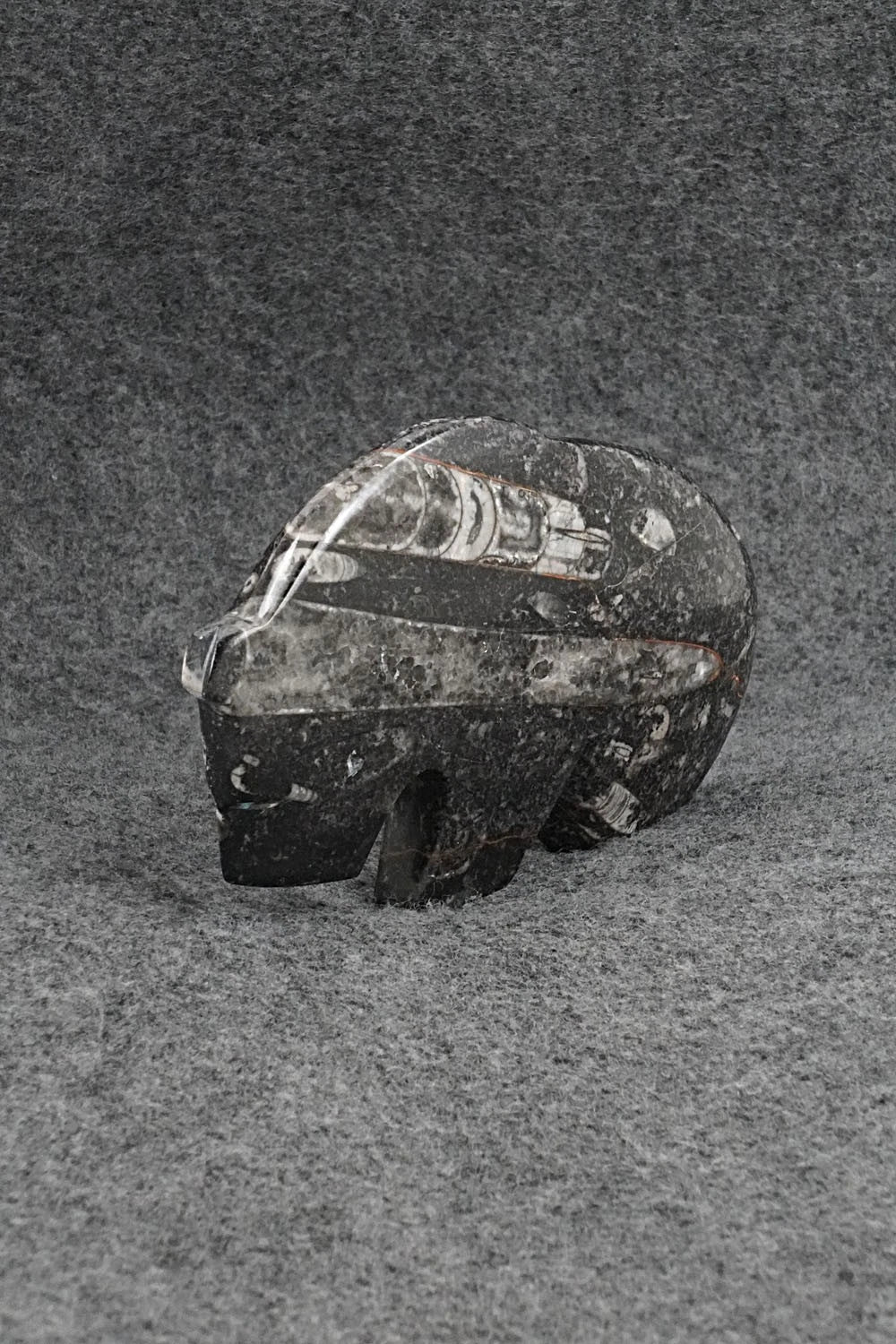 Bear Zuni Fetish Carving - Kenric Laiwakete