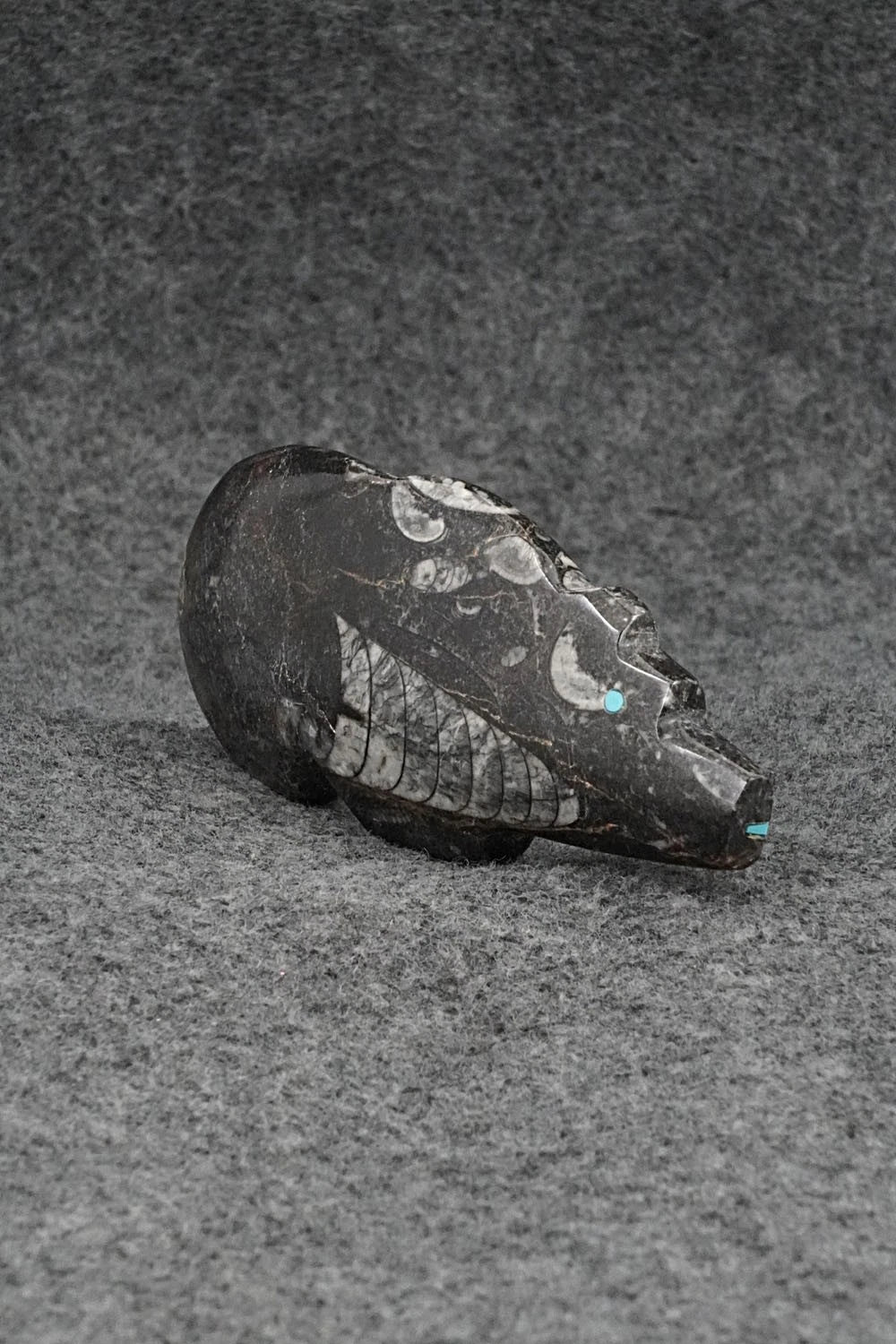 Bear Zuni Fetish Carving - Bernard Laiwakete